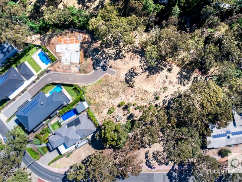 12 Royal Ave, Burnside, SA 5066