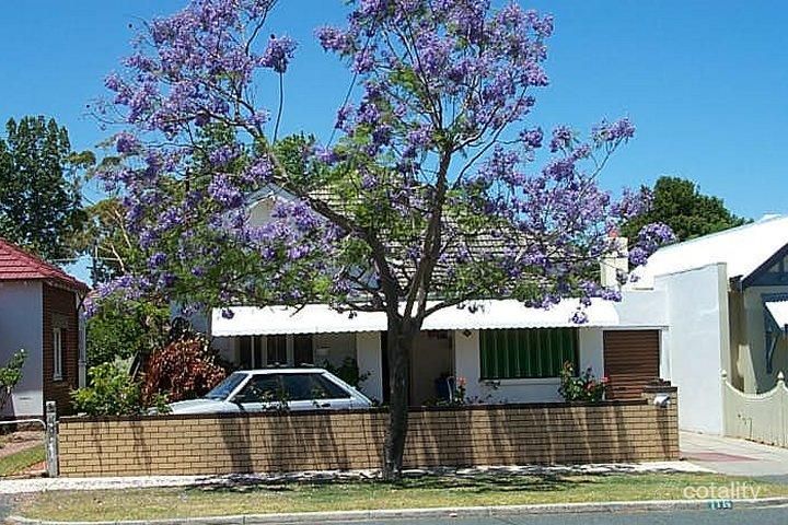 116 Dunedin St, Mount Hawthorn, WA 6016