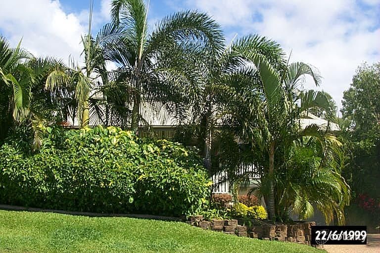 19 Grange Ct, Castle Hill, QLD 4810