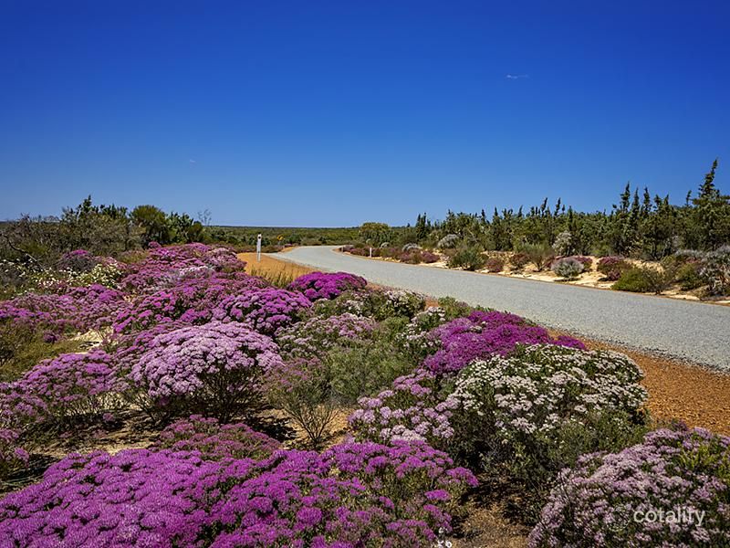 14 Ranch Ct, Kalbarri, WA 6536