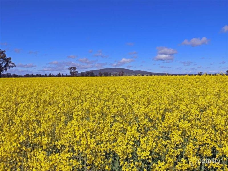 868 Back Walbundrie Rand Rd, Walbundrie, NSW 2642