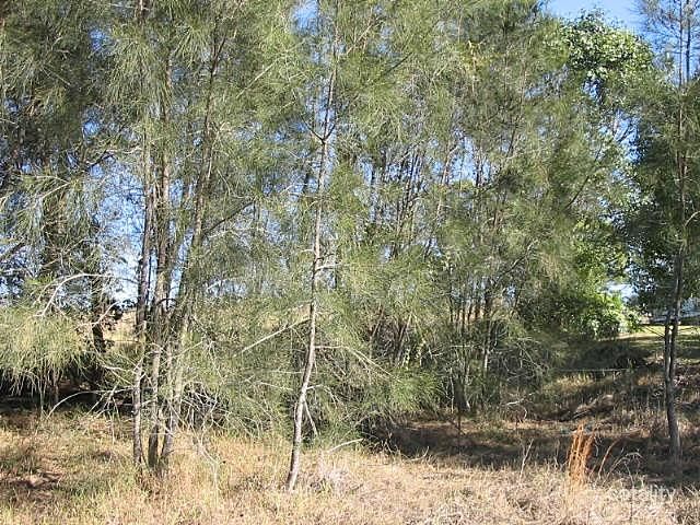 1 Lagoona Dr, Tuggerah, NSW 2259