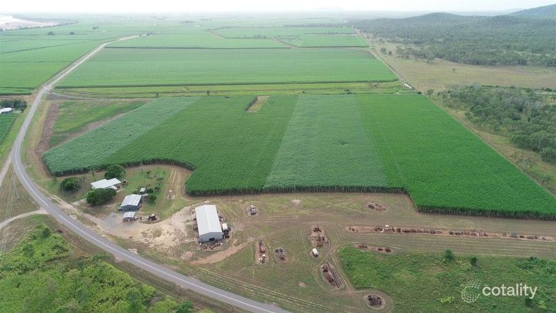 1421 Kirknie Rd, Osborne, QLD 4806