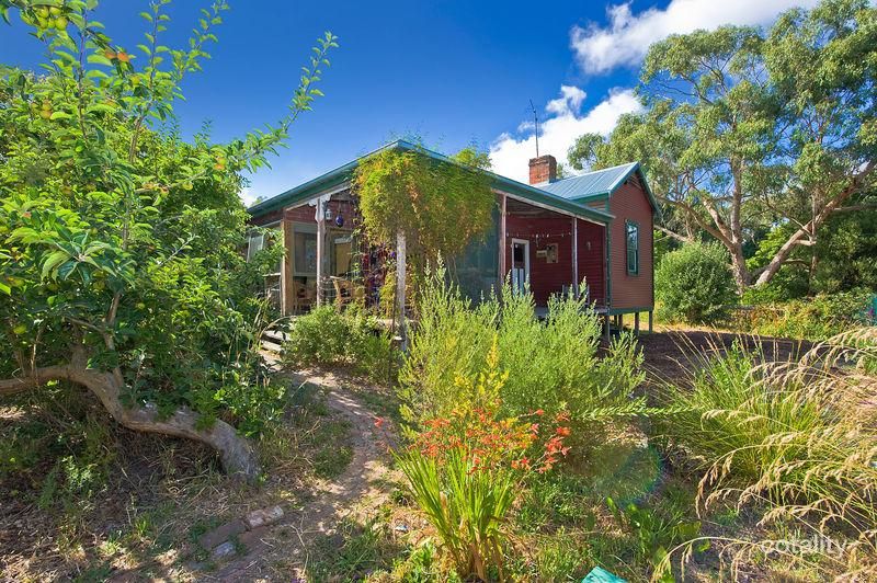 51 Grant St, Forrest, VIC 3236