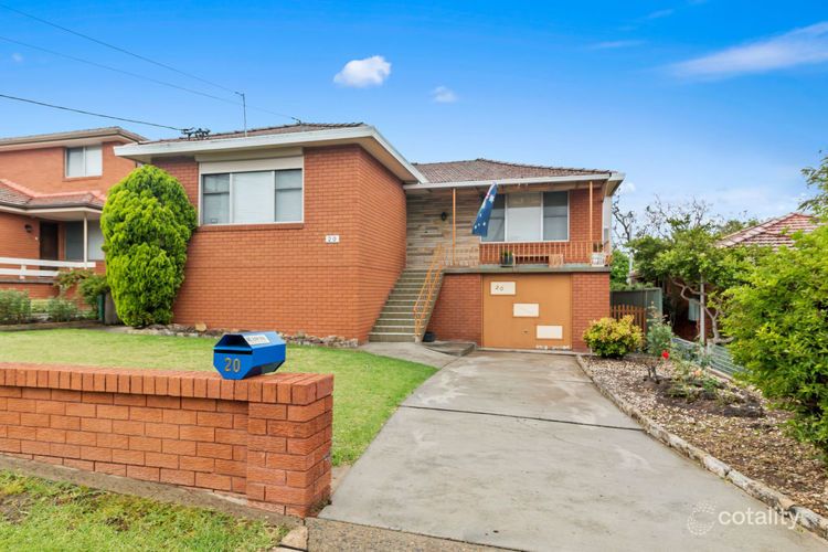 20 Theresa St, Smithfield, NSW 2164