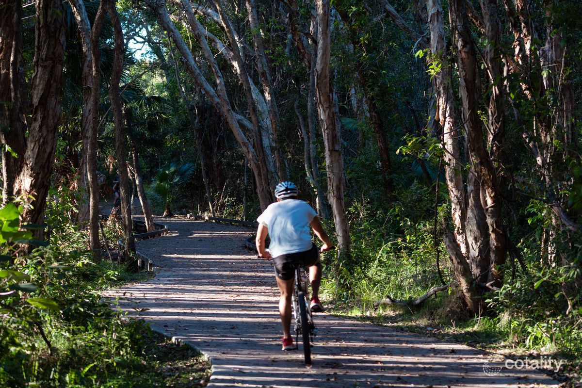 31 Pretella St, Wurtulla, QLD 4575