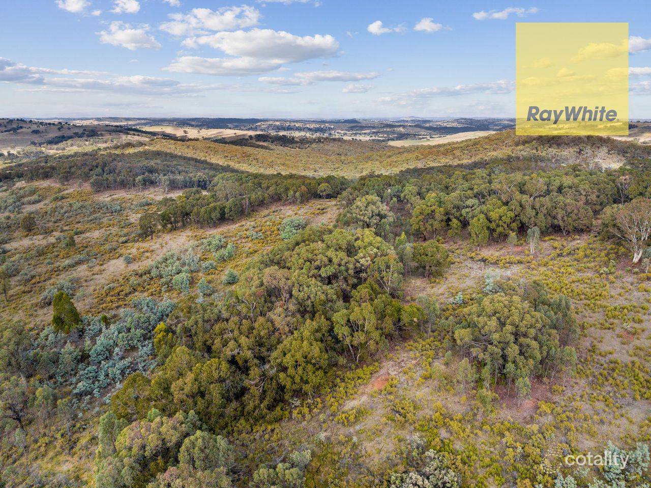 1013 Bigga Rd, Crooked Corner, NSW 2583