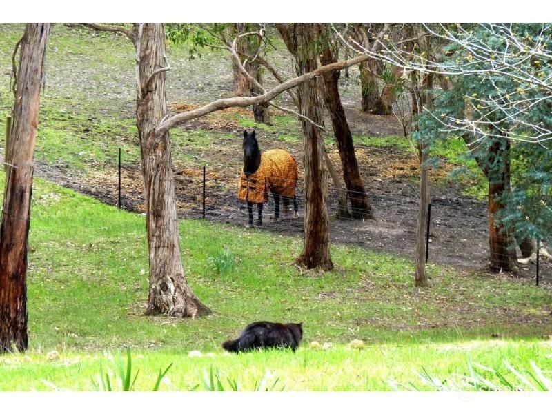 230 Nicholls Rd, Scott Creek, SA 5153