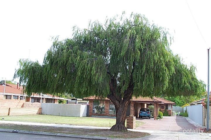 25b Bedford St, Bentley, WA 6102