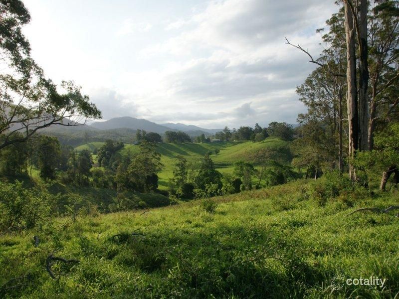 883 Lower Buckra Bendinni Rd, Buckra Bendinni, NSW 2449