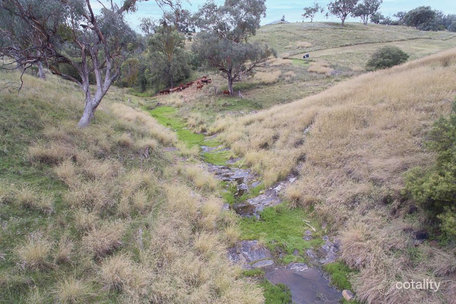 241 Daruka Rd, North Tamworth, NSW 2340