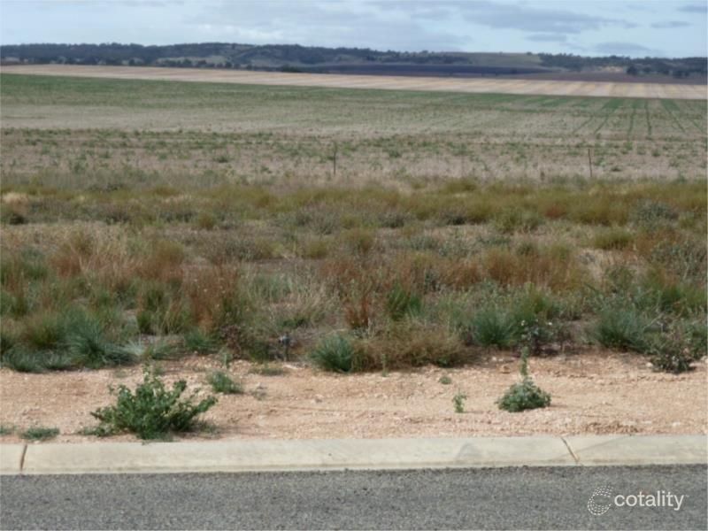 Lot 55 Cook Ave, Blyth, SA 5462