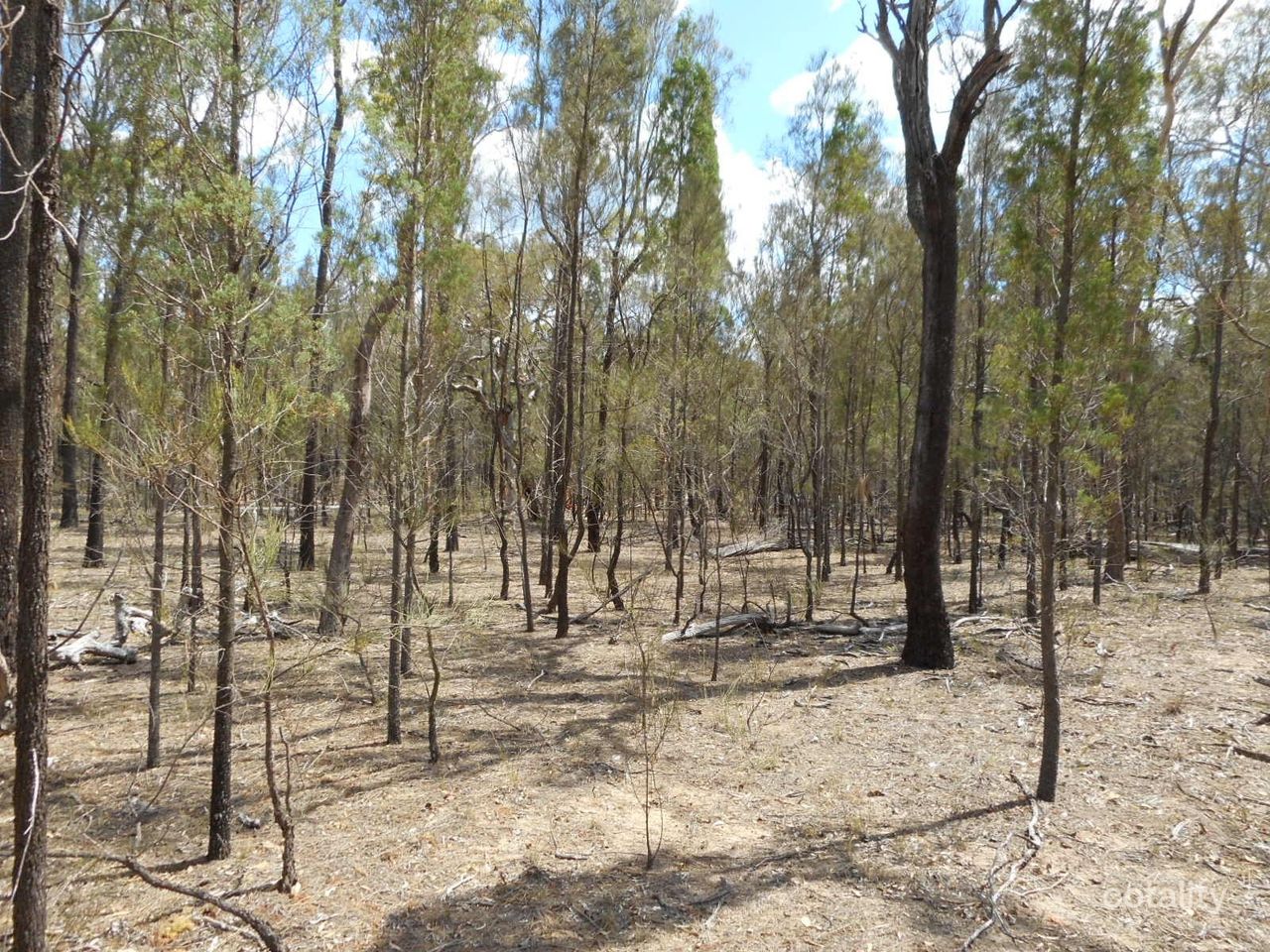 28 Cypress Ave, Millmerran Woods, QLD 4357