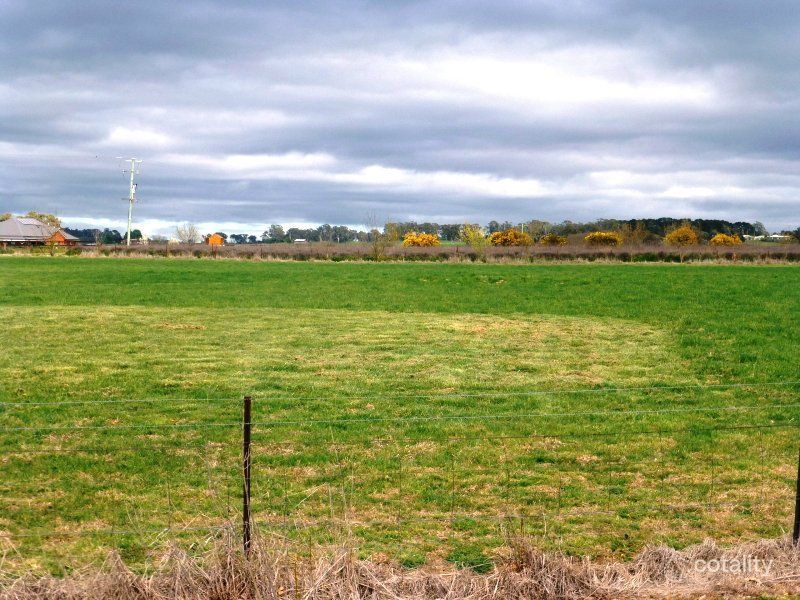 694 Spring Terrace Rd, Forest Reefs, NSW 2798