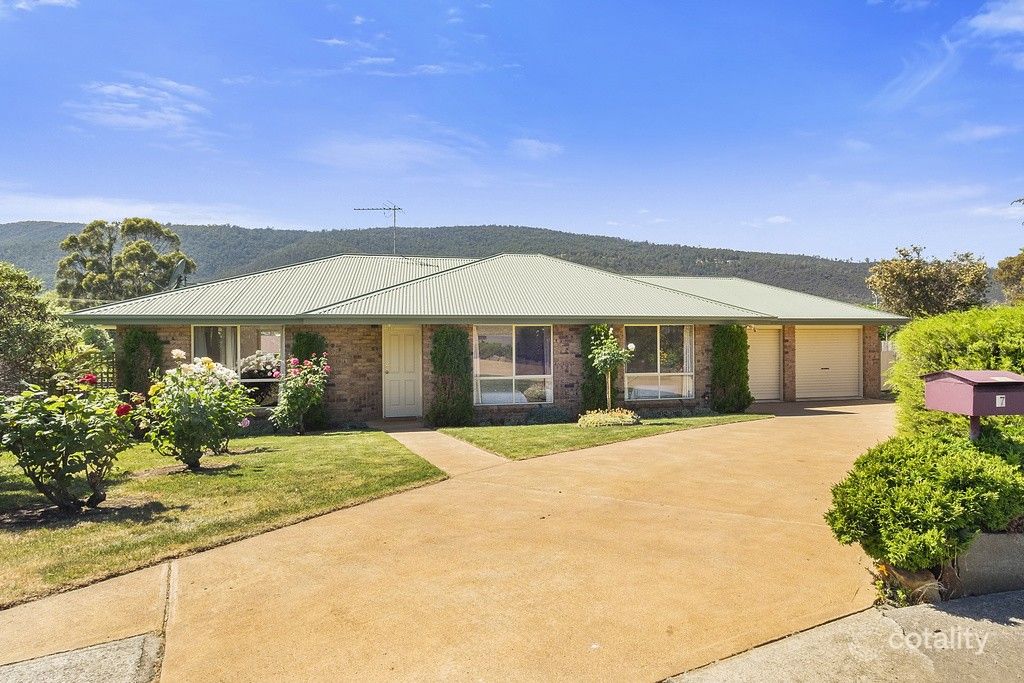 17 Wellington St, Huonville, TAS 7109