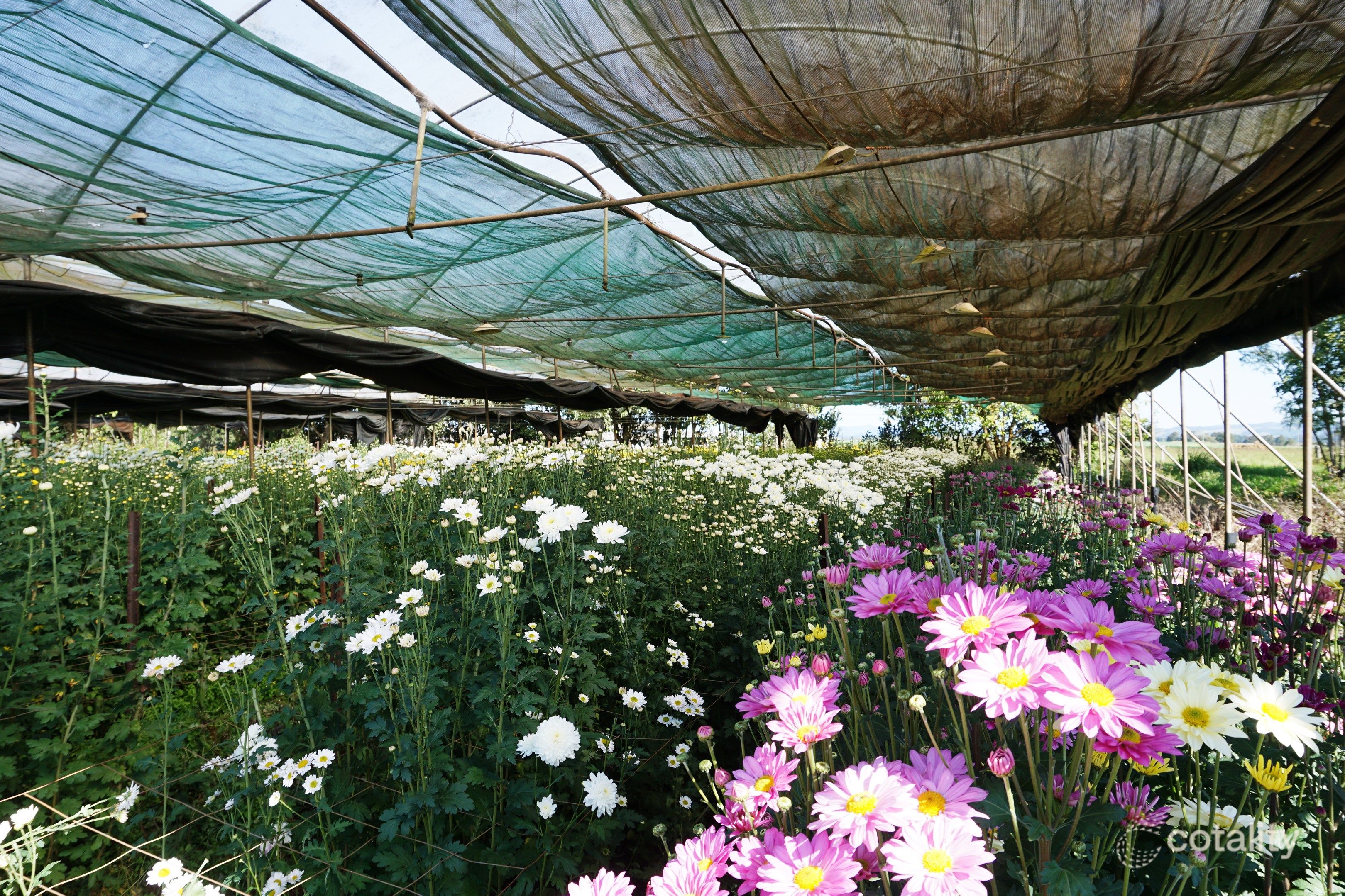 380 Stonehouse Rd, Upper Barron, QLD 4883