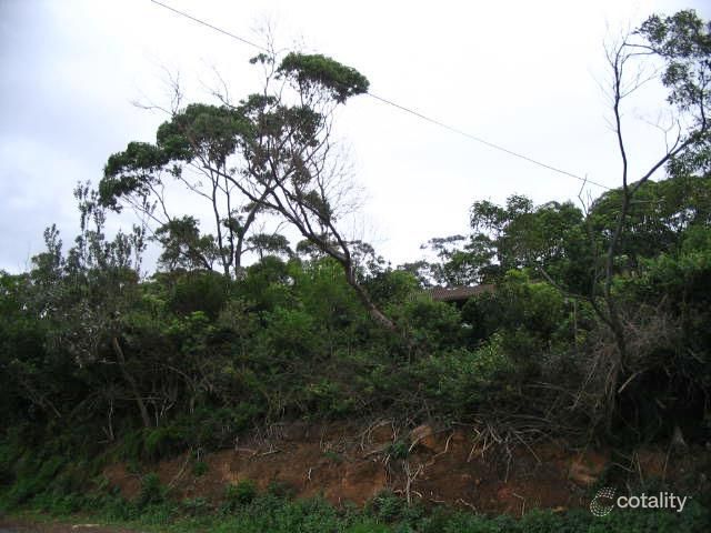 512 Lawrence Hargrave Dr, Wombarra, NSW 2515