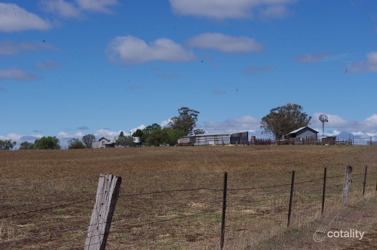 122 Carl Tomes Lane, Cherry Tree Hill, NSW 2360