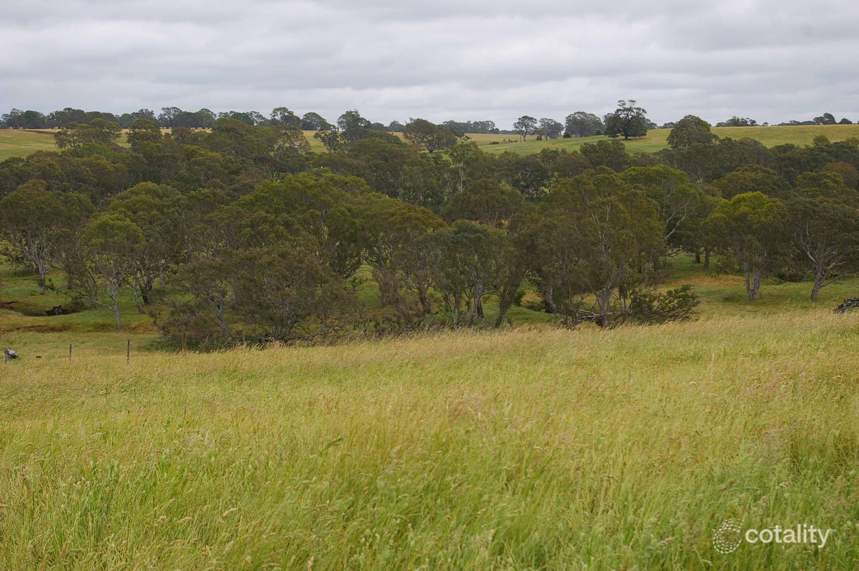 568 Morris Rd, Wannon, VIC 3301