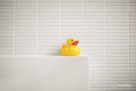 1/10 Alpha Rd, Camden, NSW 2570