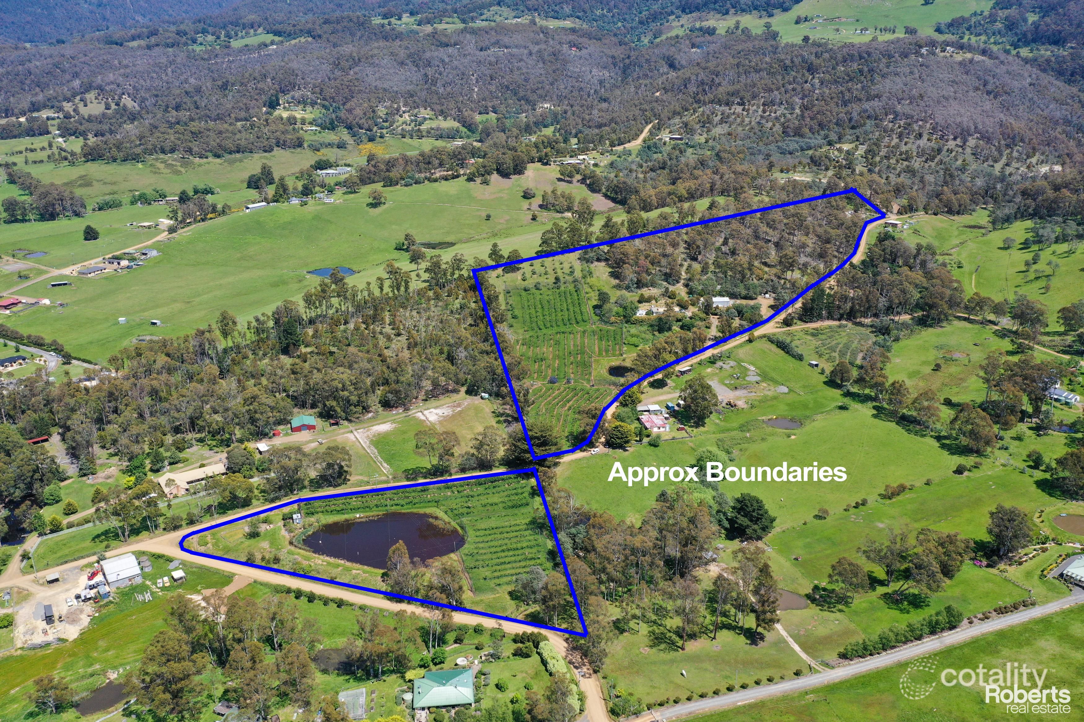 99 Millers Rd, Lachlan, TAS 7140