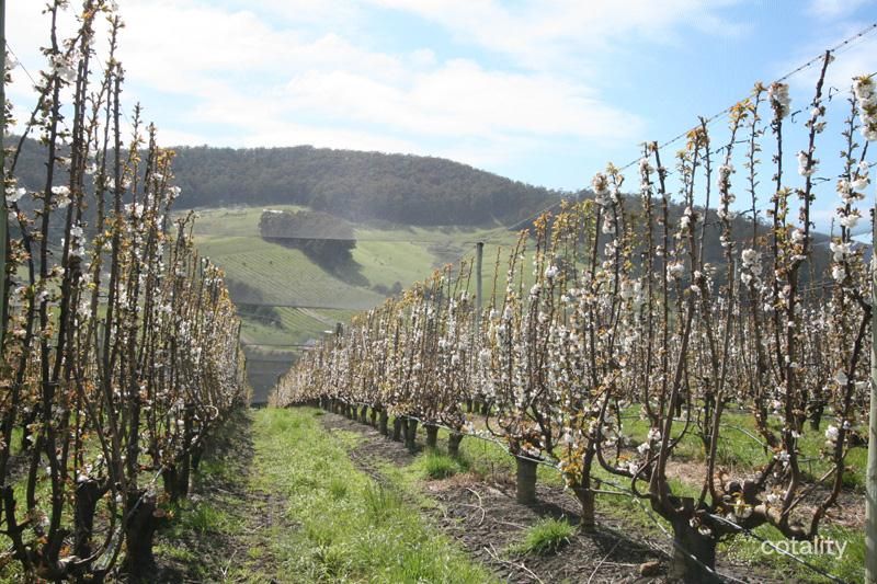 7891 Channel Hwy, Cradoc, TAS 7109