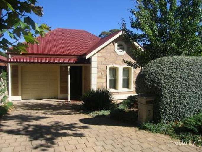 3 Plane Tree Ave, Glenside, SA 5065