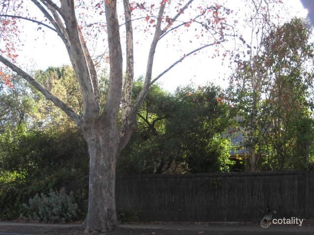 3 Torrens St, College Park, SA 5069