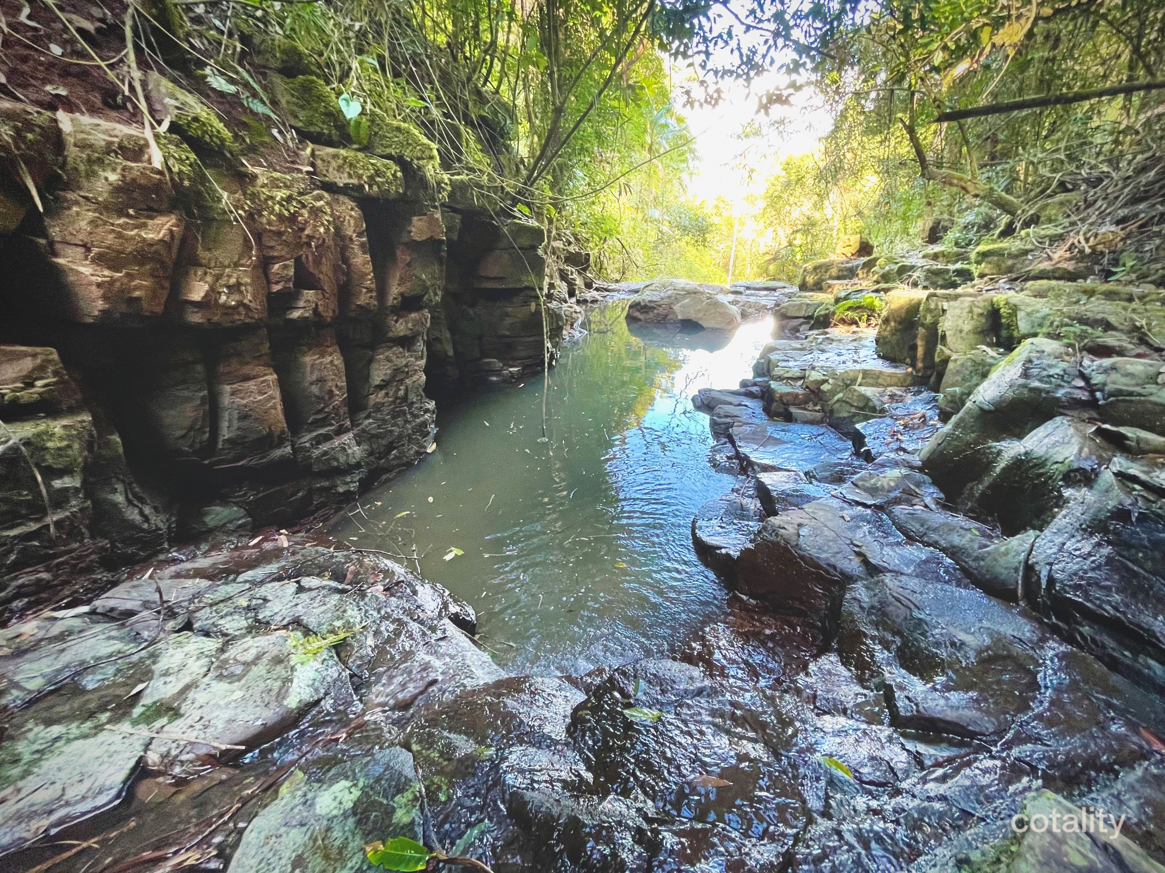 76 Maso Rd, Repentance Creek, NSW 2480