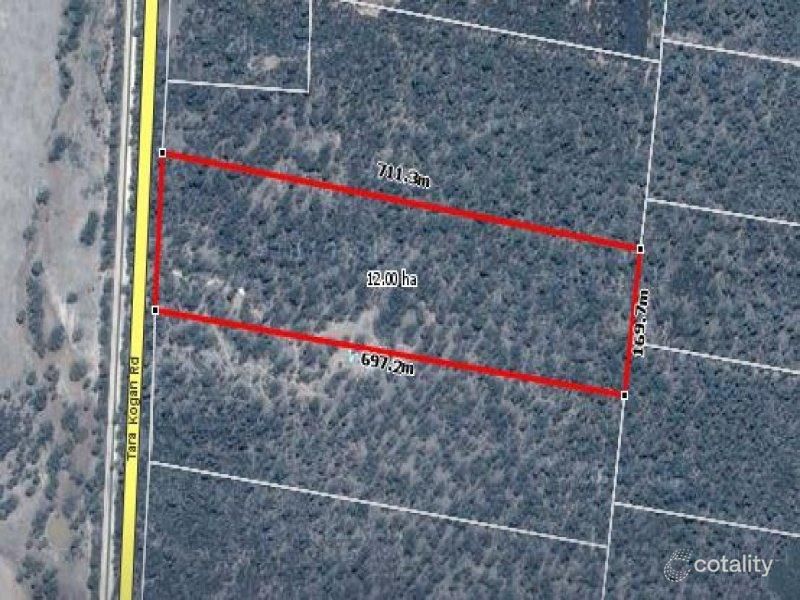 824 Tara-Kogan Rd, Tara, QLD 4421