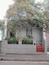 28 Wilford St, Newtown, NSW 2042