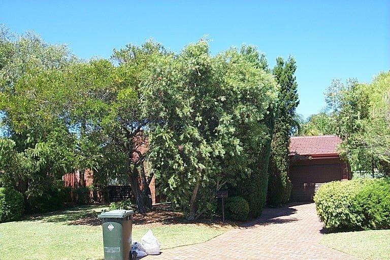 5 Ondine Pl, Greenwood, WA 6024