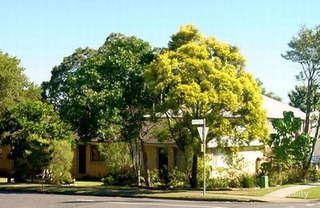 54 Coutts St, Bulimba, QLD 4171