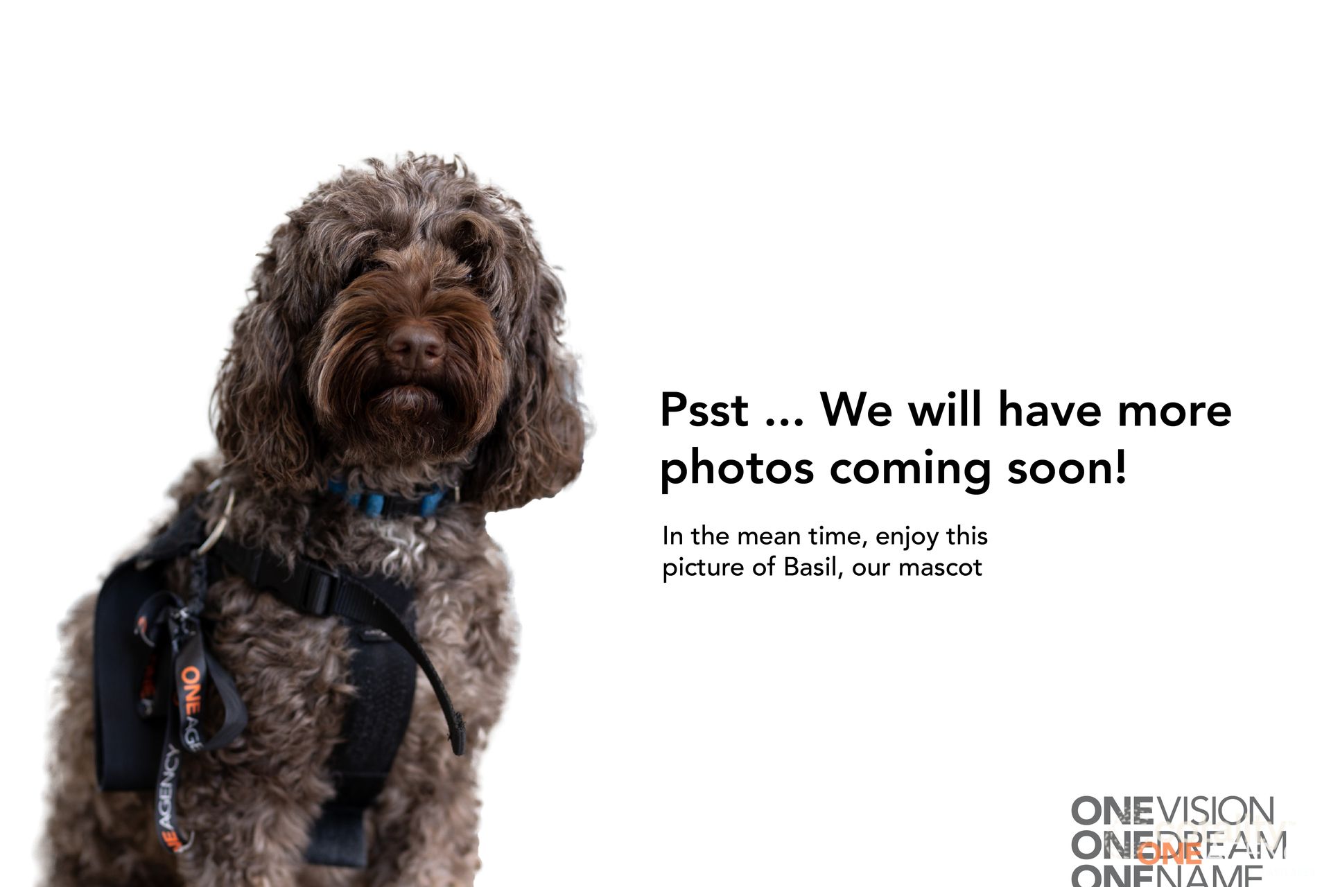 57 Pelican St, Swansea, NSW 2281