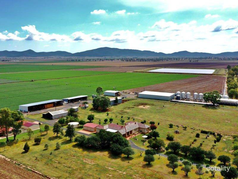43 Orange Grove Rd, Gunnedah, NSW 2380