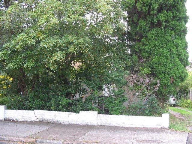 11 Hercules St, Chatswood, NSW 2067