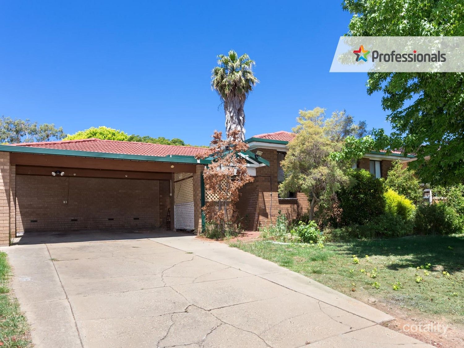 7 Quail St, Mount Austin, NSW 2650