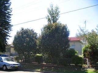19 Kalang Ave, St Marys, NSW 2760