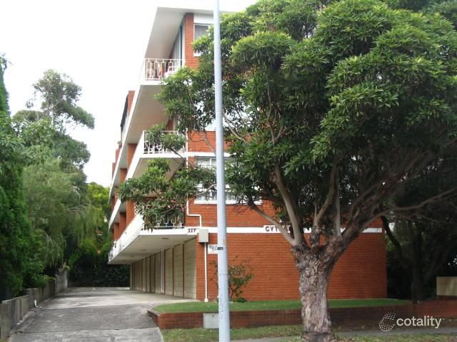 8/117 Oaks Ave, Dee Why, NSW 2099