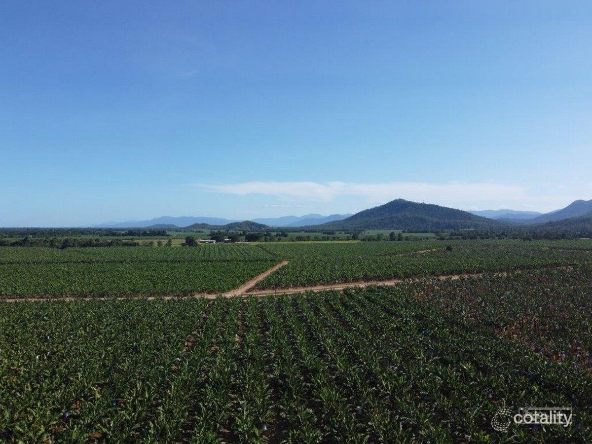 1052 North Davidson Rd, Munro Plains, QLD 4854