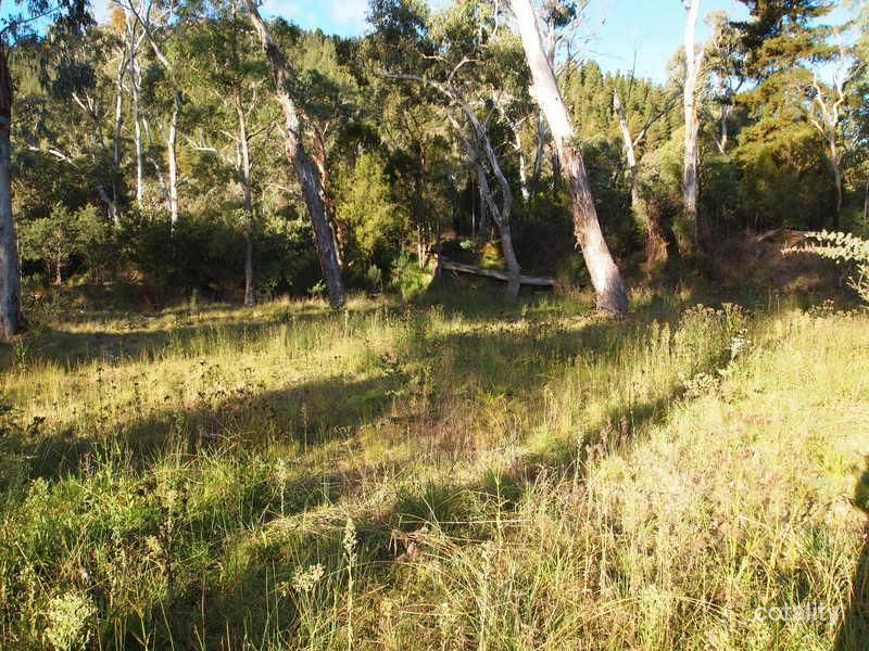 25 Ashwood Ave, Bright, VIC 3741
