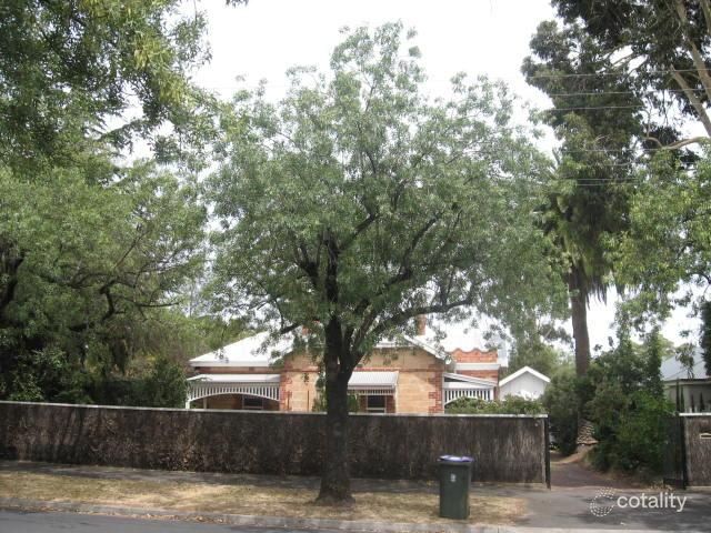 63 Tusmore Ave, Tusmore, SA 5065