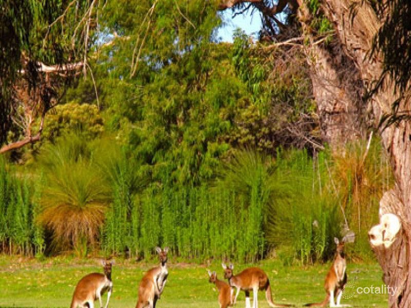 7 Tempo St, Yanchep, WA 6035