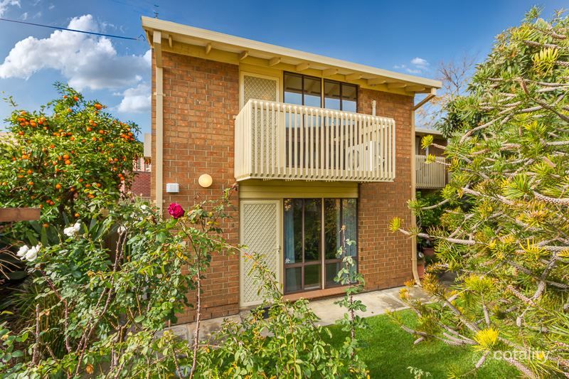 3/41 Everard Ave, Ashford, SA 5035