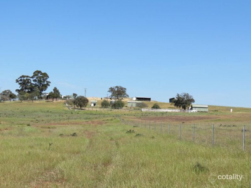 264 Heatherbrae Rd, Geurie, NSW 2818