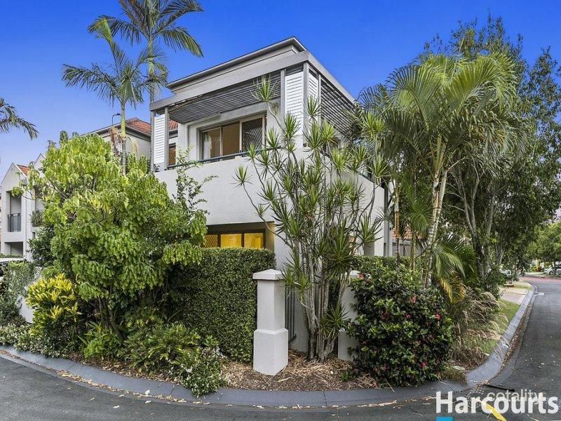 64/101 Coutts St, Bulimba, QLD 4171