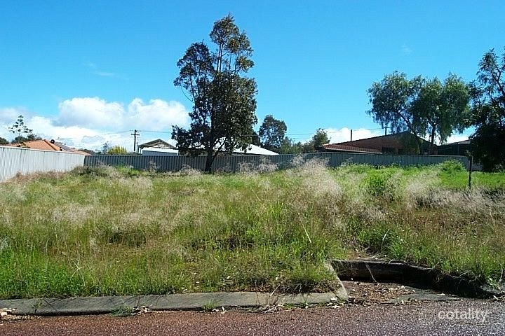 291 Steere St N, Collie, WA 6225