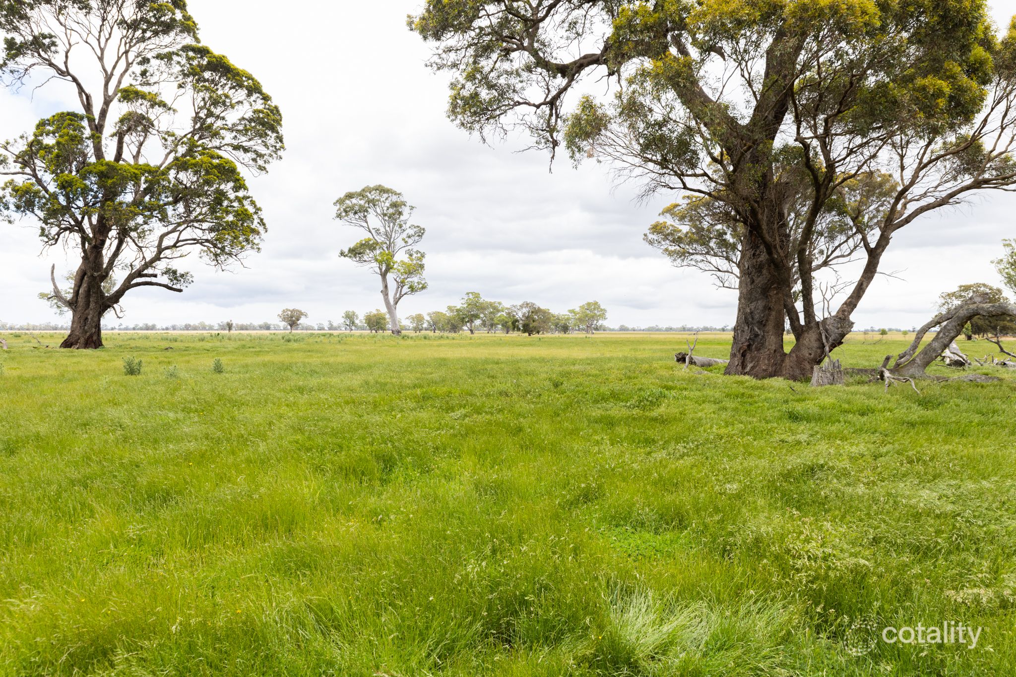 502 Dawsons Lane, Apsley, VIC 3319