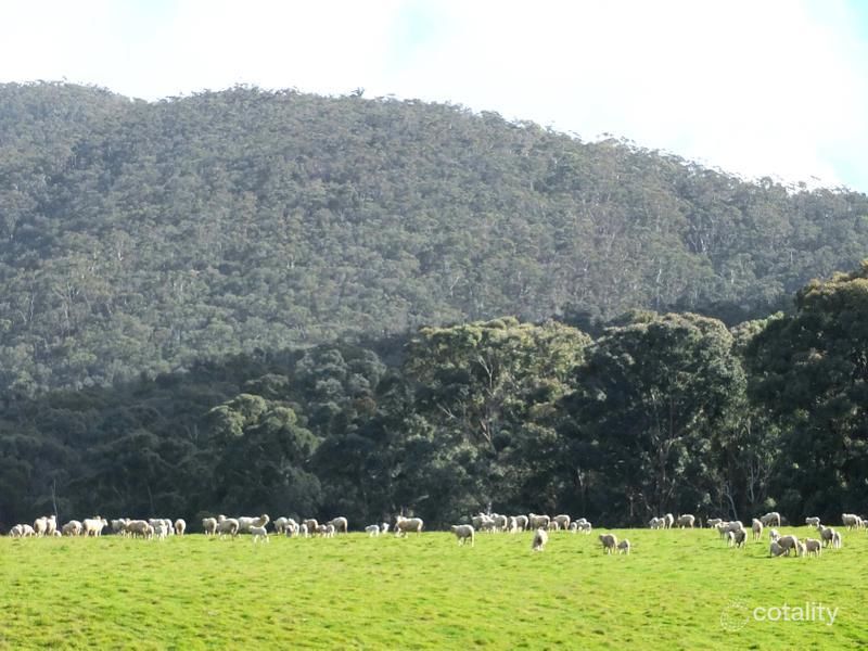 19a Mountain Hut Rd, Amphitheatre, VIC 3468