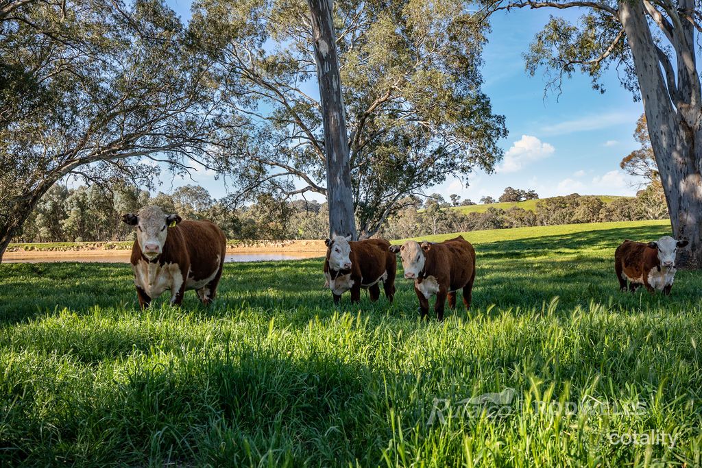 1231 Howes Creek Rd, Mansfield, VIC 3722